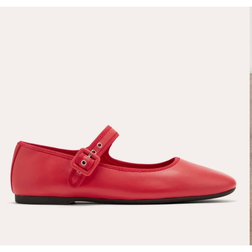 Everlane The Day Buckle Mary Jane